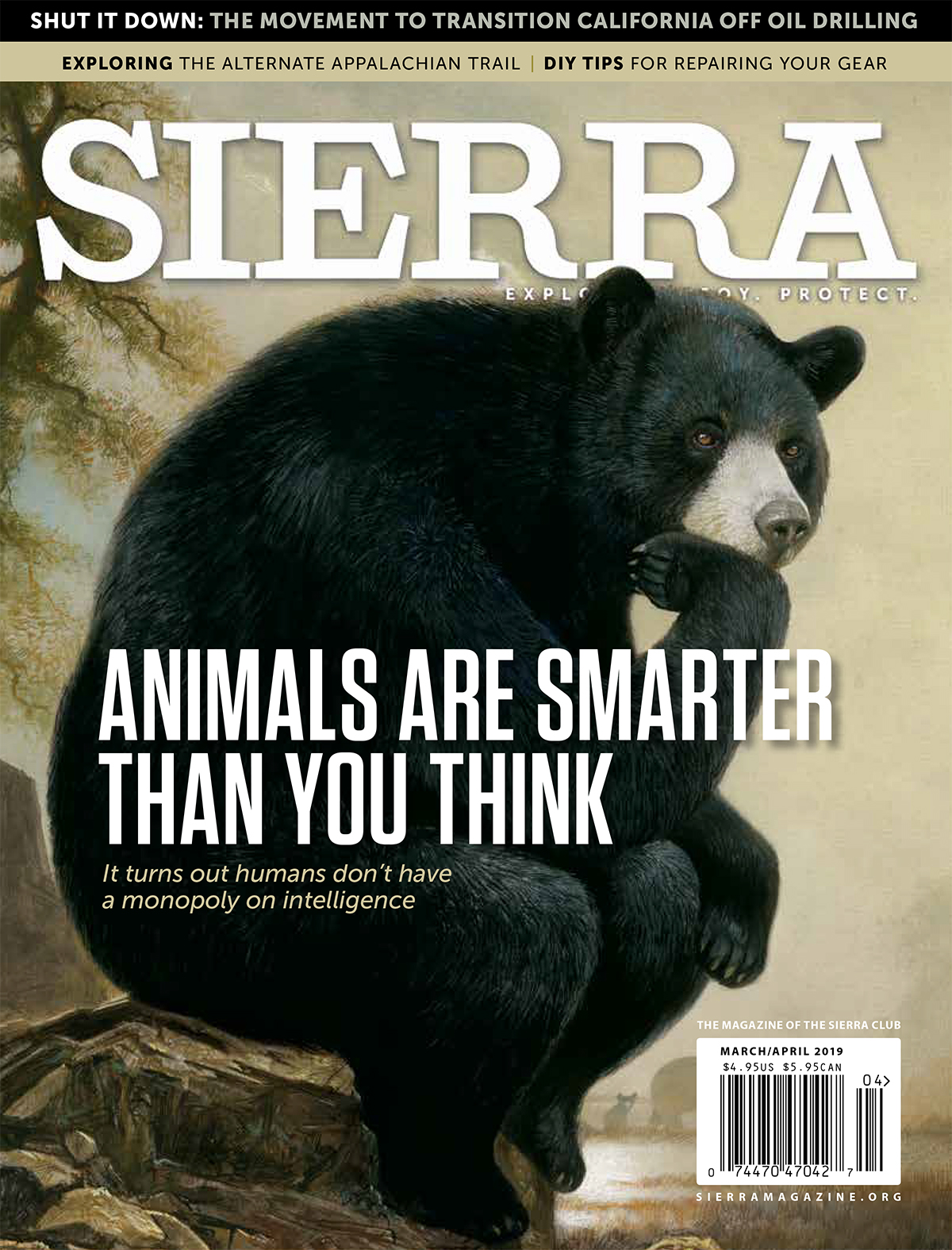 Sierra Magazine: Bears and Animal Cognition